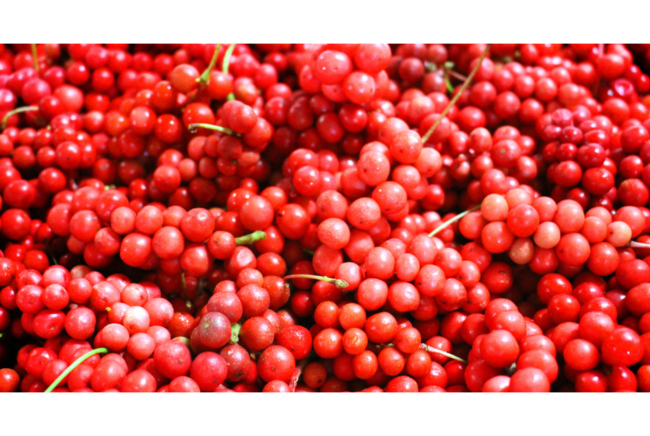 L’Omija
