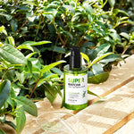 Some By Mi Super Matcha Pore Tightening Serum, sérum coréen pour peaux grasses et mixtes