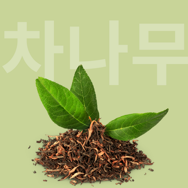 Tea tree