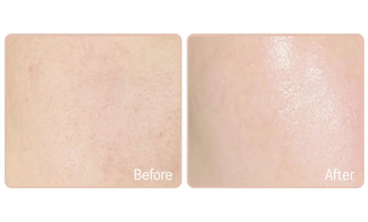 Round Lab Birch Moisture Tone Up Sunscreen, crème solaire coréenne convenant à toutes les peaux