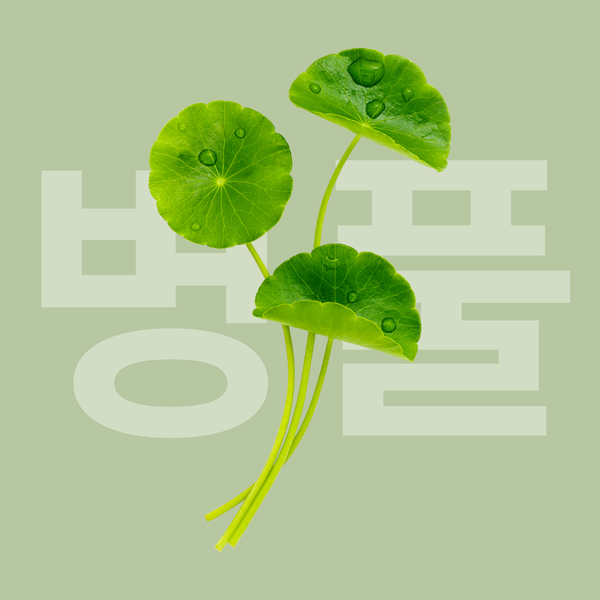 Centella Asiatica